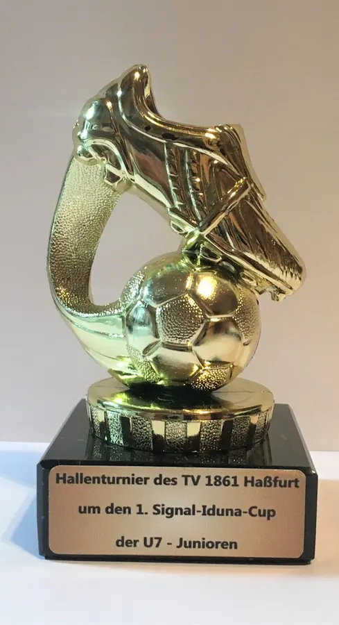 Quali-Turniere U7/U9 2019 – Foto 1